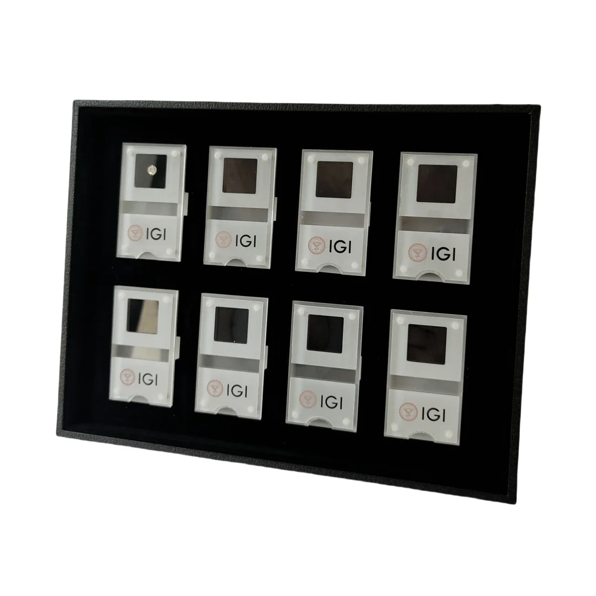 GIA Loose Diamond Storage Disp - Exhibition Caseback recensione e prezzo