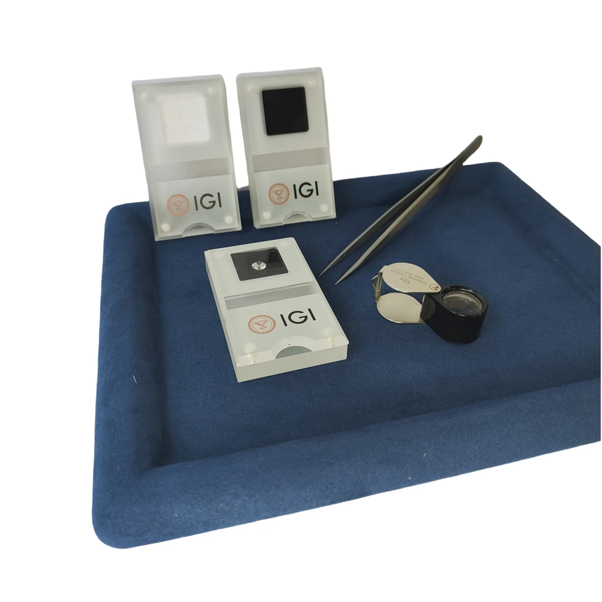 GIA Loose Diamond Storage Disp - Exhibition Caseback recensione e prezzo