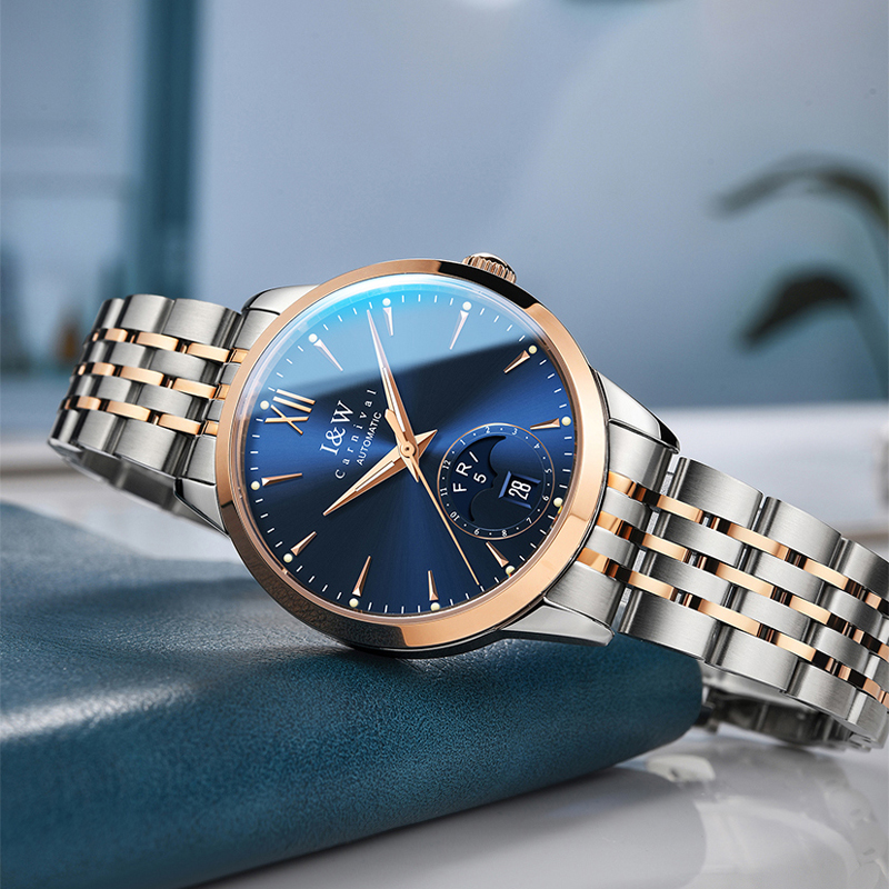 CARNIVAL High-End Series IW Br - Sapphire Crystal Display recensione e prezzo